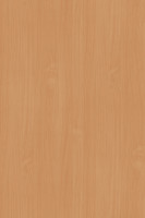 DTDL 381 BS Buk 2800/2070/19