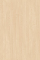 DTDL 1715 BS Bříza 2800/2070/22