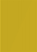 RC SLIM 2437L Giallo (Žlutá) MATT 2800/1300/3,5