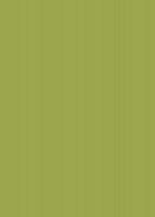 RC SLIM 2444L Verde (Zelená) HG 2800/1300/4
