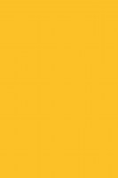 DTDL 134 BS Zářivě žlutá 2800/2070/16