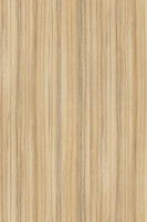 DTDL 8995 SN Coco Bolo 2800/2070/22