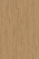 DTDL 5527 SN Kamenný dub 2800/2070/16