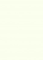 DVEŘNÍ PLÁŠŤ W1000 ST9 2130/2050/3