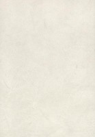 TL Egger F649 ST16 4,1m