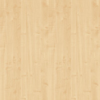 LAM R27001 VV Javor královský 2800/2070/0,8