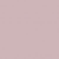 DTDL U17501 SD Rose 2800/2100/18