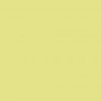 DTDL U19505 SD Citrón 2800/2100/18