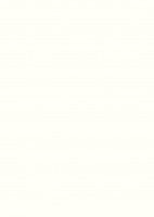 DVEŘNÍ PLÁŠŤ W1100 ST22 2800/2050/3