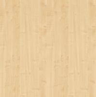 DTDL R27001 VV Javor královský 2800/2100/18