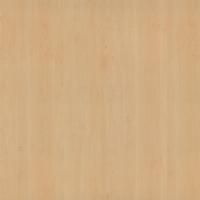 DTDL R27024 VV Javor horský 2800/2100/18