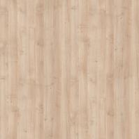 DTDL R27044 FL Javor mléčný 2800/2100/18