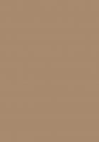 PerfectSense Premium MDF U250 PM/ST9 Karamelově béžová 2800/2070/19