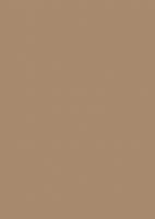 LAM PerfectSense Premium U250 PM Karamelově béžová 2800/1310/0,8