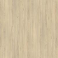 KD-IN R24029 SD Buk Fjord světlý ČJ CGS 2800/2070/12