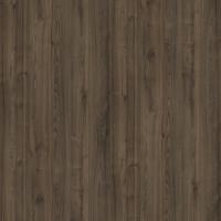 DTDL R38000 NW Kaštan 2800/2100/18