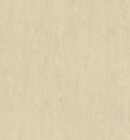 DTDL R55064 FL Borovice mořská 2800/2100/18