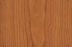 DTDD TŘEŠEŇ AM. COM A/B DEC 2800/2070/29