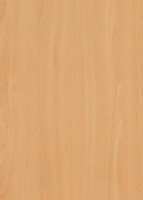 DVEŘNÍ PLÁŠŤ H1582 ST15 2130/2050/3