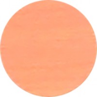 IF Krytka nalepovací 20mm 15ks 727 javor klen