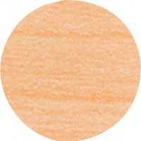 IF Krytka nalepovací 13mm 20ks 260 bříza/javor